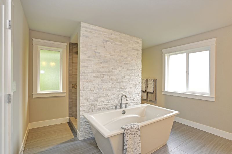 Contemporary Bathtub Finish
